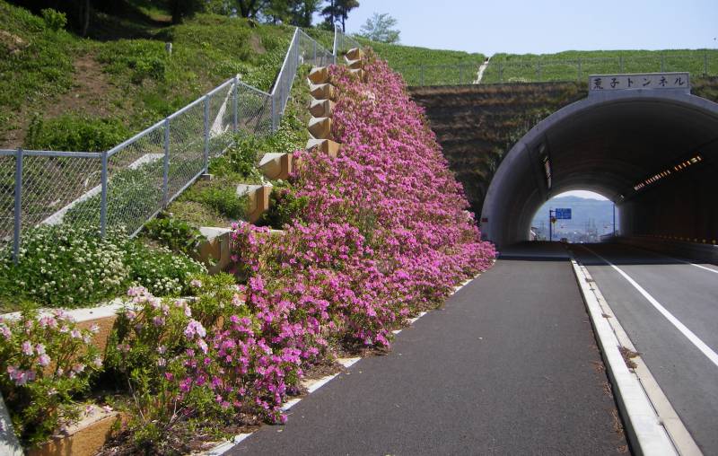 EVER GREEN/愛知県蒲郡市